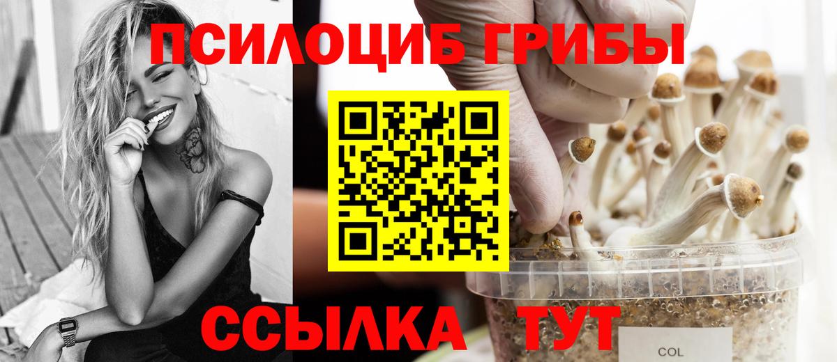 Галлюциногенные грибы MAGIC MUSHROOMS  Галлюциногенные грибы MAGIC MUSHROOMS  Мытищи  Вход с VPN 