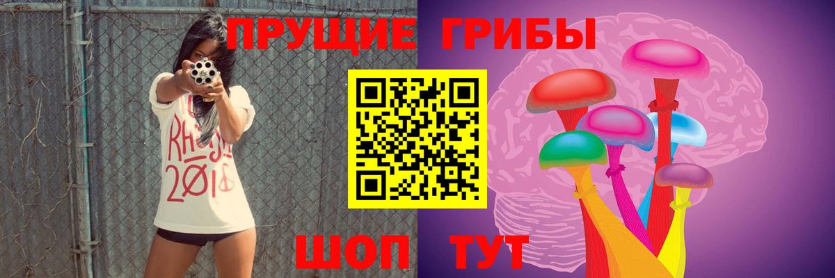 Псилоцибиновые грибы прущие грибы Мытищи